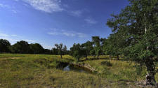 Remarkable ranch offered by REMAX Tow & Country in Fredericksburg, TX.